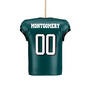 The Eagles Personalized Christmas Ornament with FREE helmet 11399 0014 d back