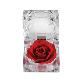 Diamond Rose Pendant with Free Miracle Rose 10273 0033 c rose