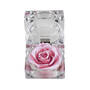 My Daughter “I Love You" Diamond Pendant with FREE Miracle Rose, My Daughter I Love You Diamond Pendant with FREE Miracle Rose 2965 0223 c miracle rose