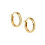 Dazzling Golden Hoops Five Earring Set, Dazzling Huggie Hoops Five Earring Set 11555 0014 b earing