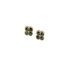 The Dazzling Dozen 12 Pair Earring Collection 12464 0012 g earrings