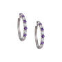 Birthstone Brilliance Hoops, Birthstone Brilliance Hoops 12064 0016 b february