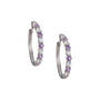 Birthstone Brilliance Hoops, Birthstone Brilliance Hoops 12064 0016 f june