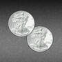 The Complete 20th Century American Silver Eagle Collection, 4673 Silver Eagles 20thC Complete 4673 0057 c coin