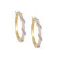 Birthstone Swirl Earring 11615 0038 f june