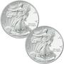 The "Mystery Mint" American Eagle Silver Dollar Collection, The Mystery Mint American Eagle Silver Dollar Collection SEB 1