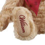 The Steiff Prince of Wales Bear, The Steiff Prince of Wales Bear 11553 0016 c closeup 1