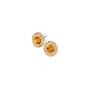The Dazzling Dozen 12 Pair Earring Collection 12464 0012 l earrings