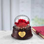 Enchanted Love Personalized Rose Globe, Enchanted Love Personalized Rose Globe 11789 0012 c roomshot