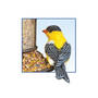 Friendly Feeding, Friendly Feeding 6184 0013 d details03