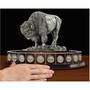 United States Buffalo Nickels Crystal Collection, United States Buffalo Nickels Crystal Collection 1690 003 7 3