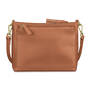 The Organizer by Jose Hess, The Organizer by Jose Hess 10889 0013 b back