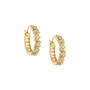 Dazzling Golden Hoops Five Earring Set, Dazzling Huggie Hoops Five Earring Set 11555 0014 d earing