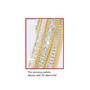 Forever Diamond Bangle, I Love You Diamond Bangle 9474 002 4 5