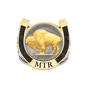 Personalized Fortune Buffalo Nickel Ring, Personalized Fortune Buffalo Nickel Ring 11232 0015 b front