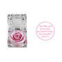 My Daughter “I Love You" Diamond Pendant with FREE Miracle Rose, My Daughter I Love You Diamond Pendant with FREE Miracle Rose 2965 0223 b miracle rose sticker