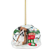 Dog Annual Ornament Boxer 6428 1025 a main