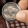 Buffalo Nickels Collection, Buffalo Nickels Collection 2915 001 8 2