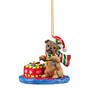 Dog Annual Ornament Pug 6428 0969 a main