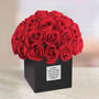 The Personalized I Love You Forever Roses, The Personalized I Love You Forever Roses 12375 0010 b rose