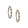 Birthstone Brilliance Hoops 12064 0016 k november