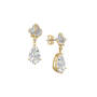 Roses Necklace with FREE Matching Earrings 12336 0018 c earring
