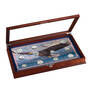 The Ultimate American Eagle Silver Coin Collection, Eagle Silver Coin Collection 10035 0016 a display