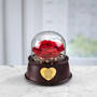 Enchanted Love Personalized Rose Globe, Enchanted Love Personalized Rose Globe 11789 0012 b roomshot