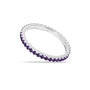 Birthstone Beauty Eternity Ring, Birthstone Beauty Stackable Ring Set 12323 0039 b february