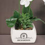 Personalized Lasting Beauty Faux Orchid 11820 0013 m room