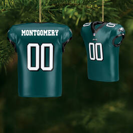 The Eagles Personalized Christmas Ornament with FREE helmet 11399 0014 m room