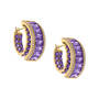 Ultimate Birthstone Hoops, Ultimate Birthstone Hoops 12124 0014 b february