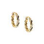 Dazzling Golden Hoops Five Earring Set, Dazzling Huggie Hoops Five Earring Set 11555 0014 c earing