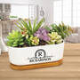 Personalized Faux Succulent Potted Arrangement, Personalized Faux Succulent Potted Arrangement 11188 0019 m room