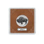 The Complete Black Diamond Buffalo Nickel Collection, The Complete Black Diamond Buffalo Nickel Collection 11117 0015 c panel