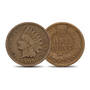 Indian Head Penny Crystal Collection, Indian Head Penny Crystal Collection 9342 0073 c coin