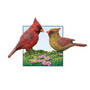 Friendly Feeding, Friendly Feeding 6184 0013 c details02