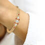 Vintage Elegance Birthstone Bracelet, Vintage Elegance Birthstone Bracelet 12072 0016 m model